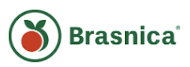 Brasnica